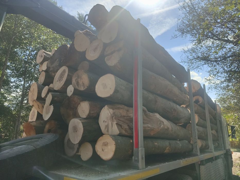 Lemn foc fag sau acat (salcâm)