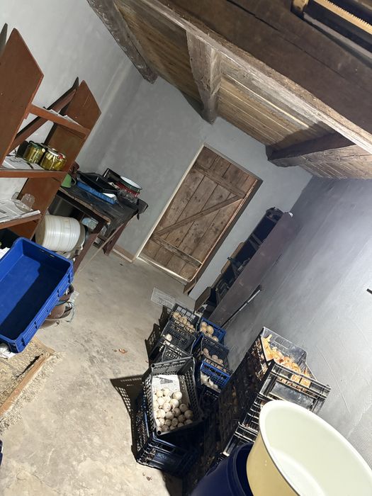 Casa de vanzare Beius