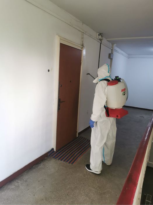 Servicii Dezinsecție, Dezinfecție și Deratizare