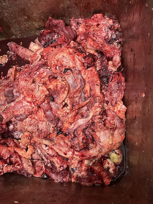 Обрезки для собак