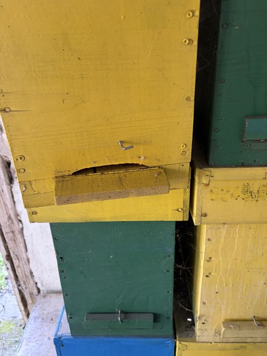 5 рамково съндъче за отводки