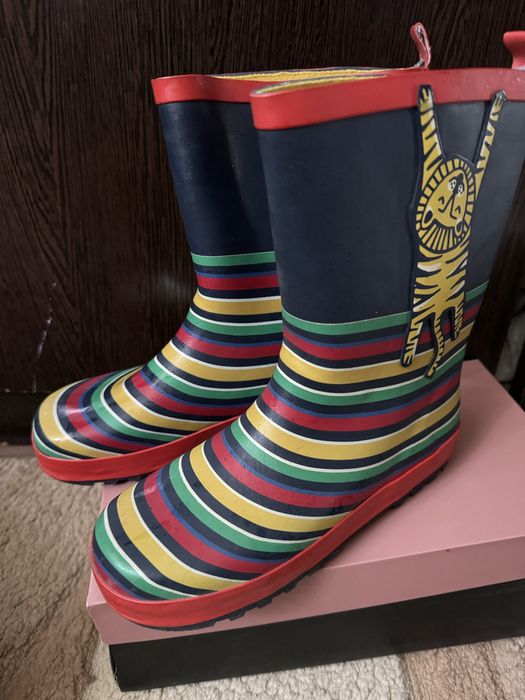 Резиновые сапоги на мальчика