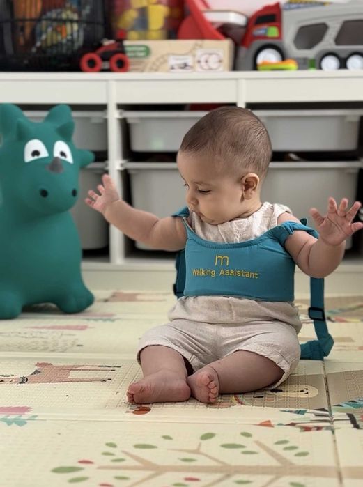 Lichidare de stoc - Ham Premergător