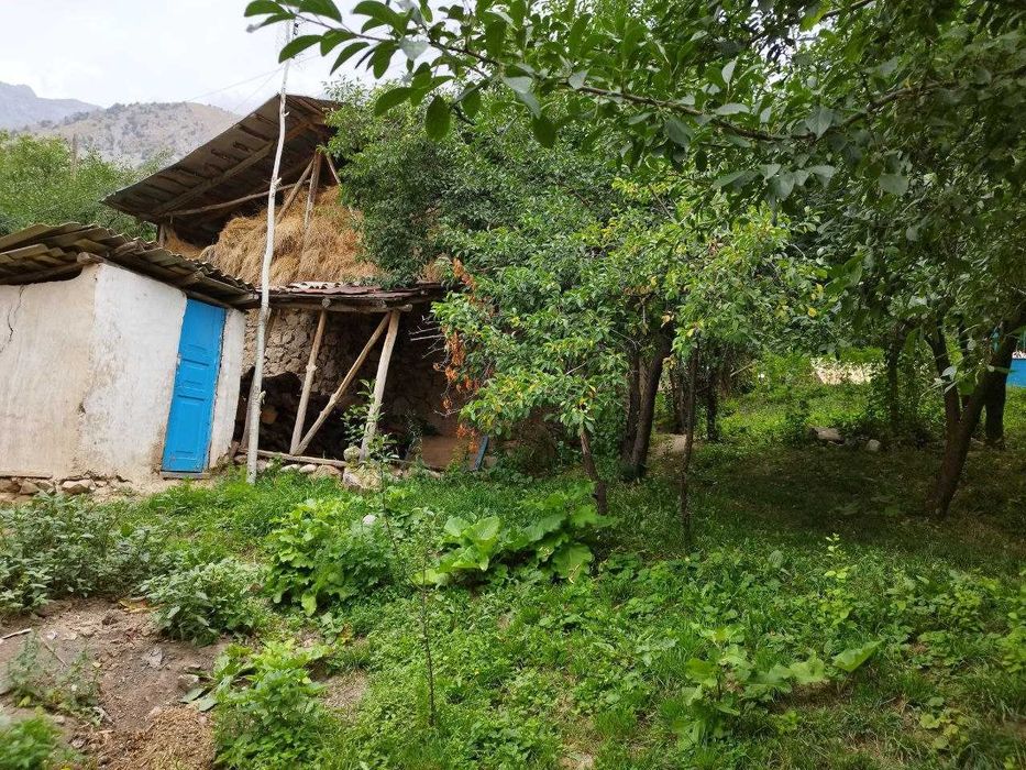 Дача в горах 47 сот {Палванак}