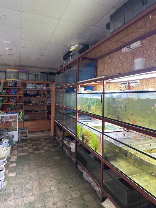 Аквариумы б/у срочно