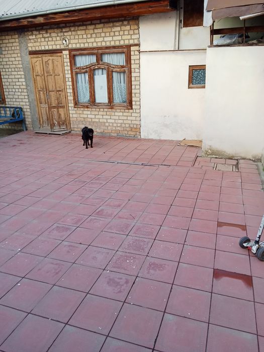 Uy-hovli sotiladi JANUBIY VAGZAL orqasida