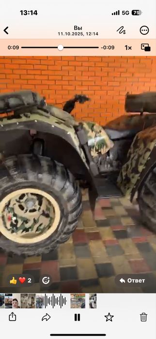 Болотоход Расамаха