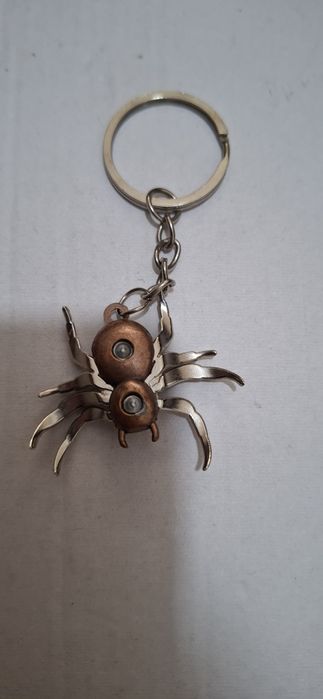 Брилок паук.  Паук