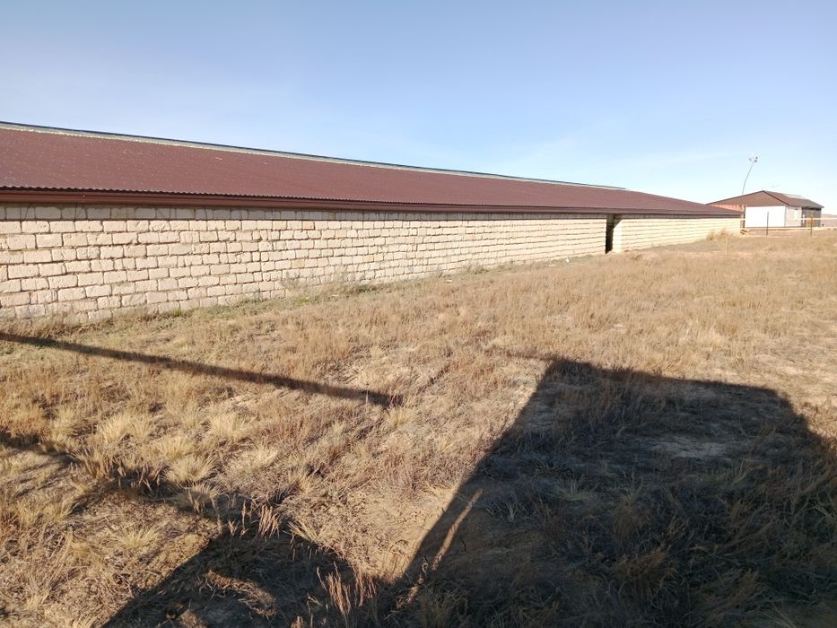 Продам хозяйства зимовка