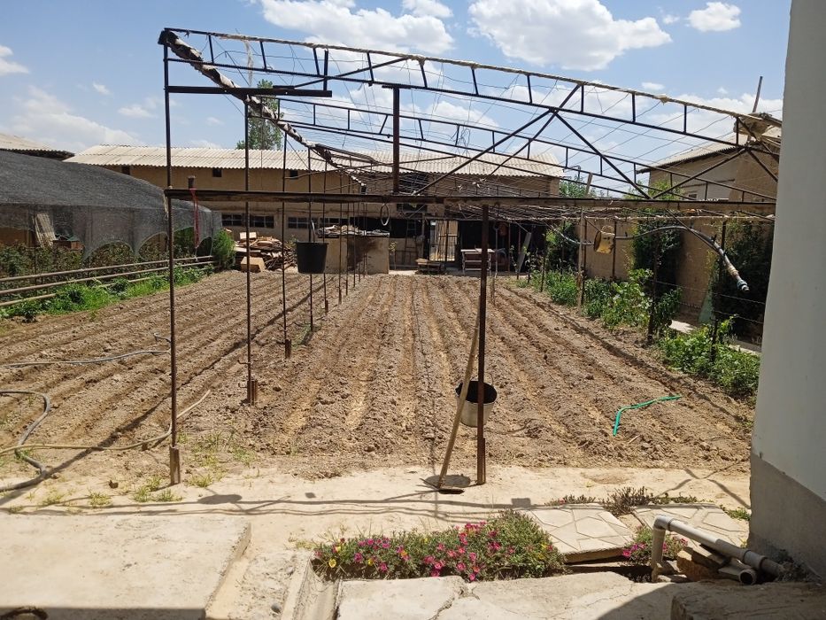 Qibray tumanida Yer sotiladi  5-6 sotik