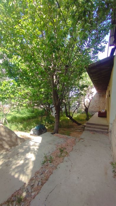 Kvartira Oila uchun, Uy sharoitida skalad,