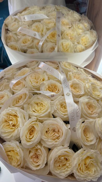 51 шт крупные белые розы