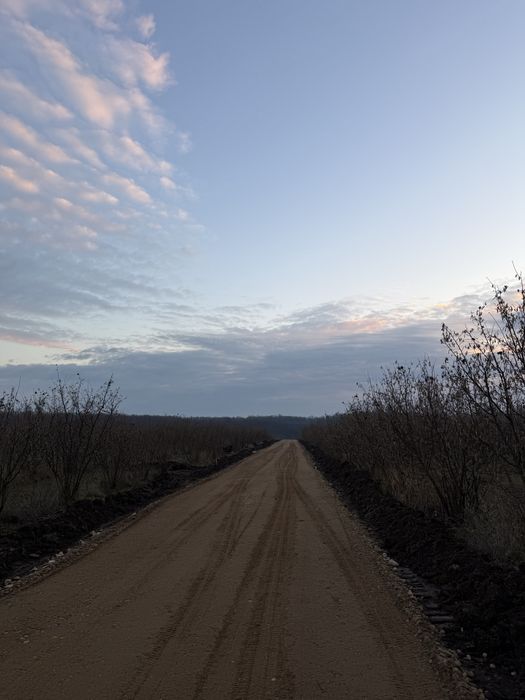 Parcele de vanzare Pausa