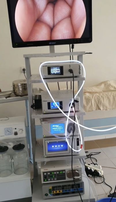 STRYKER 1588 4K. 30.000$