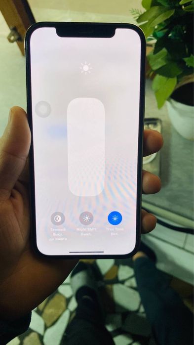 iPhone 12  pro  256  talik