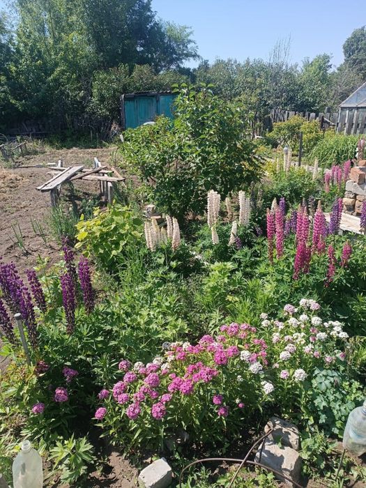 Продам дачу сад Здоровье