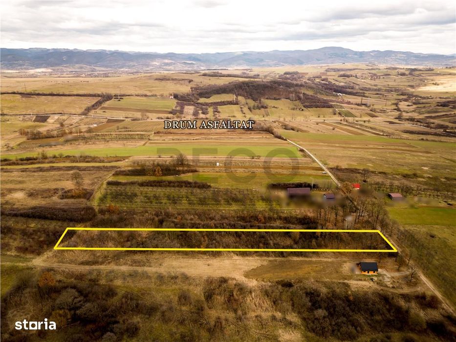 RECO Teren 5361 mp, Vadu Crișului, teren generos