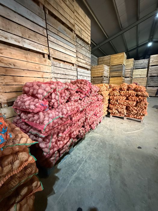 Cartofi de vanzare !