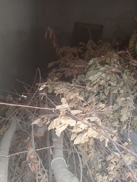 продаётся дрова.