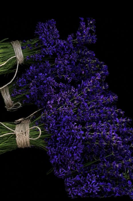 Super oferta Buchete Lavanda ( 5+1)