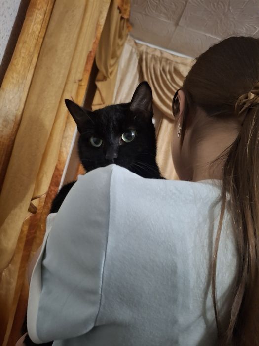 Кот!! Имя Борзый