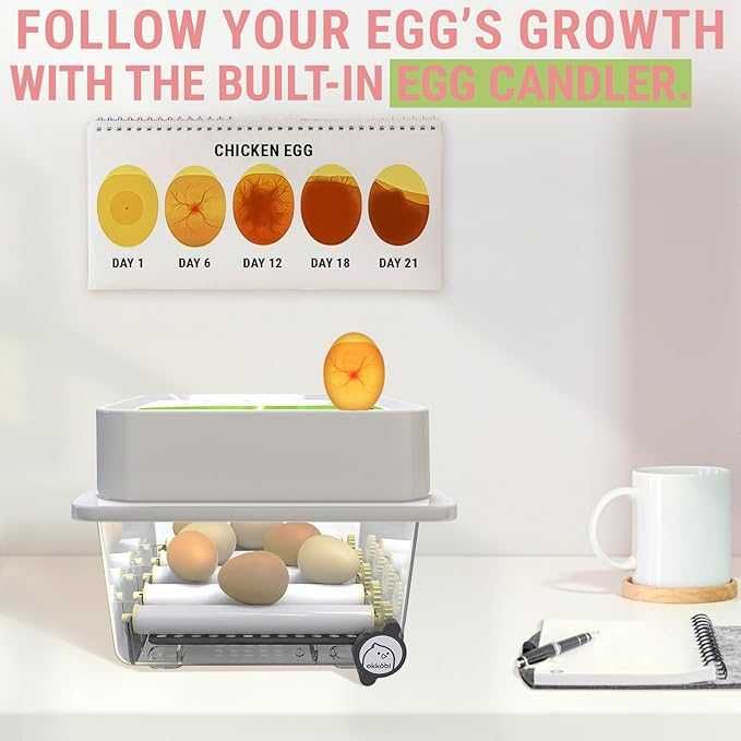 НОВ Инкубатор за яйца