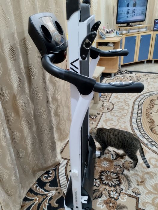 Беговая дорожка.