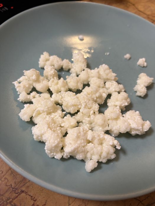 Vand ciuperca tibetana kefir