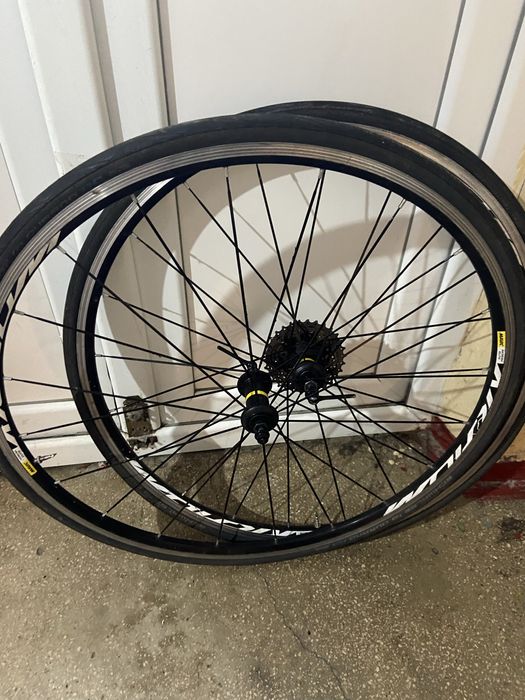 Roti mavic 28 cursiera