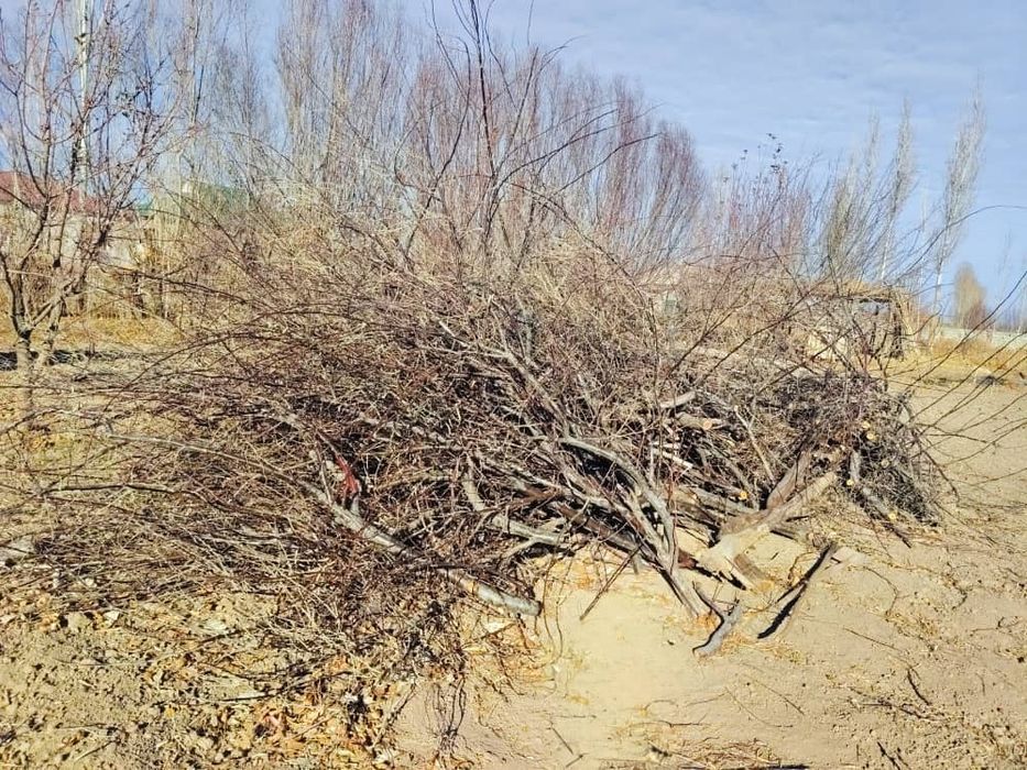 отын сатылады !!!