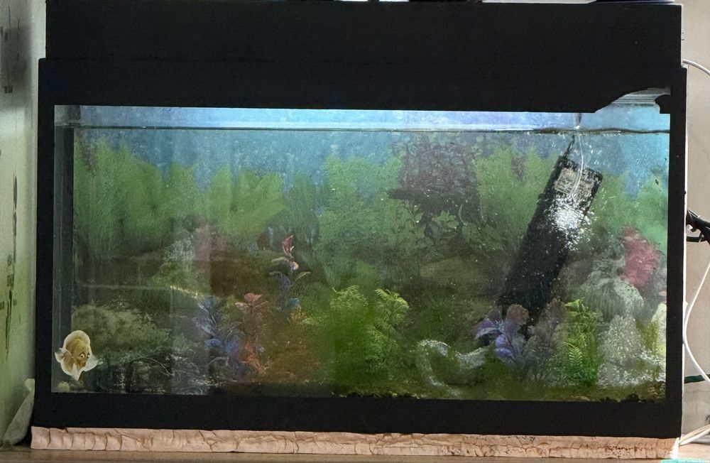 Аквариум 50 литров