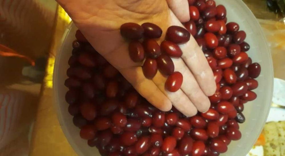 Кизил заморозка, вкусно и полезно.