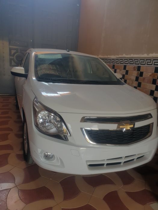 Yagi Cobalt salonda uyga olib kelingan