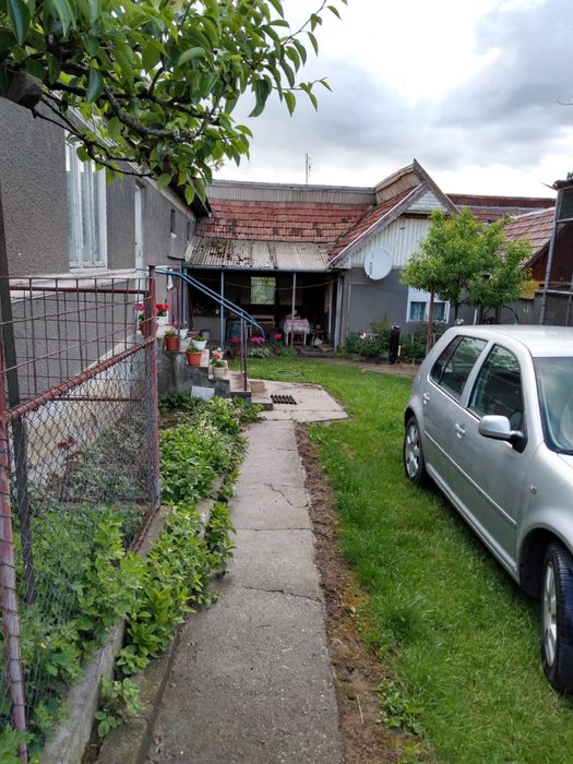 Vand casa cu grădina și livada in Vintu de Jos Alba