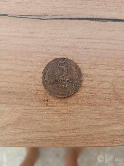 Пять копеек 1924 года