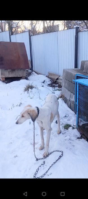 Продам Продам Продам