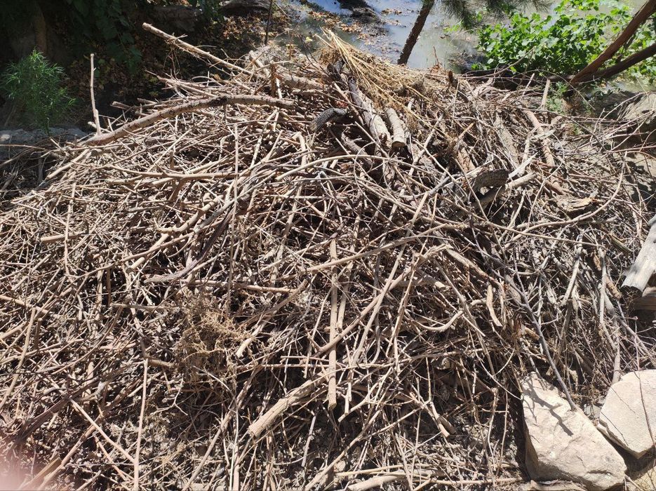 O'tin va kundalar sotiladi. Bir moshin bor