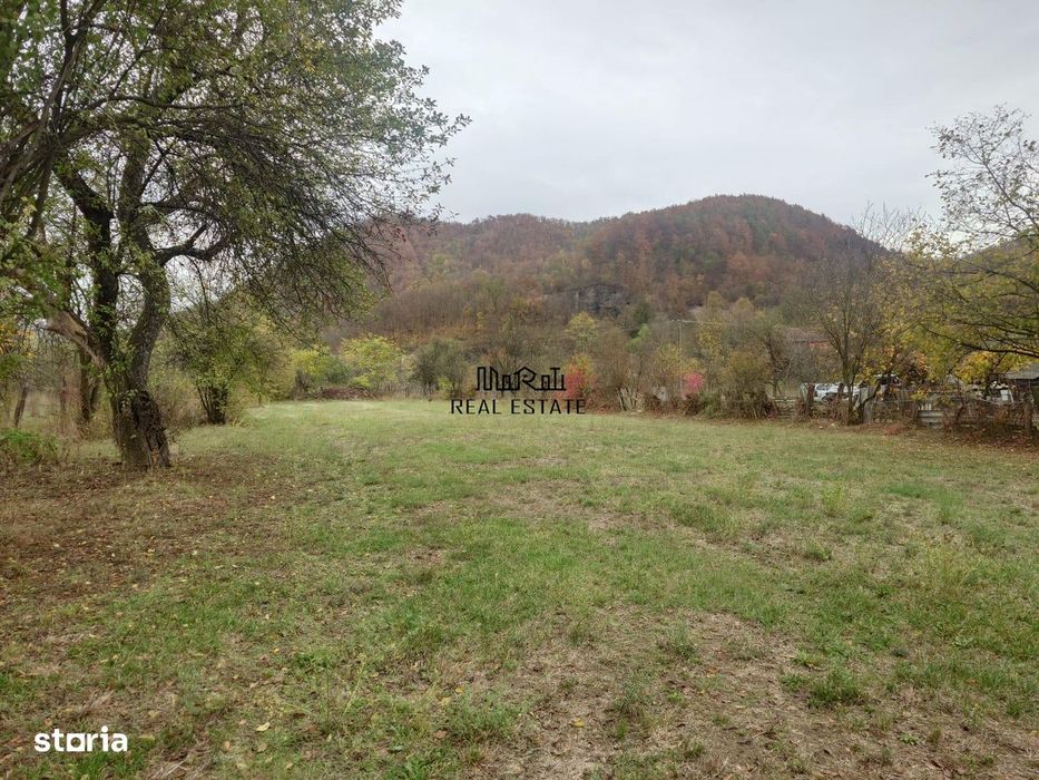 Teren intravilan 2500mp Criscior