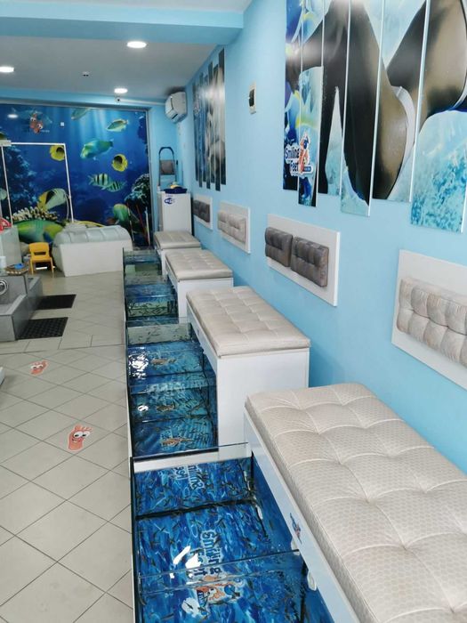 Студио за педикюр с рибки "Гара руфа" - дава се под наем