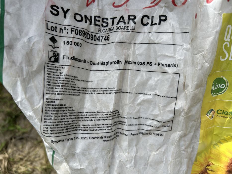 seminte de floarea soarelui