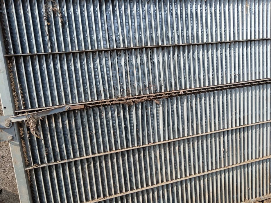 Sita mare sita mica porumb