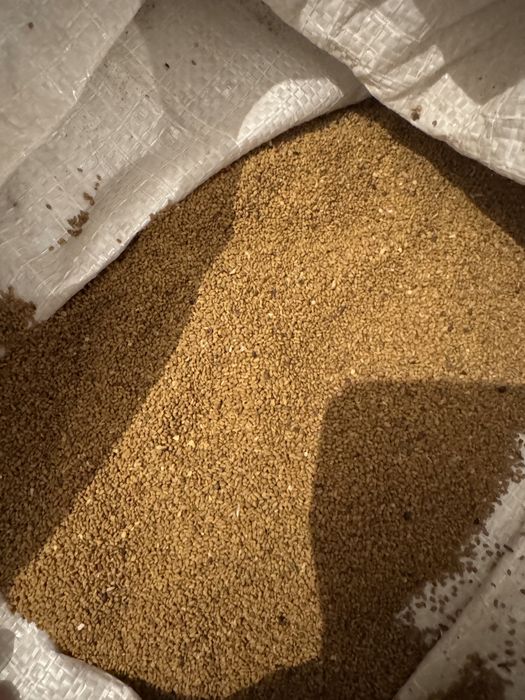 Беде. Жонышка тукым. Семена Люцерна