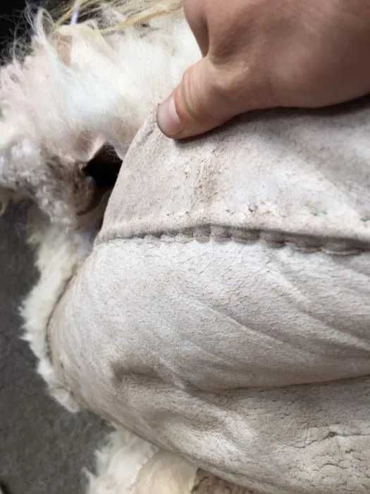 Cojoc de Cioban Bunda Bitusa Suba Suman