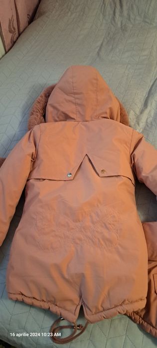 Vand gecute de iarna