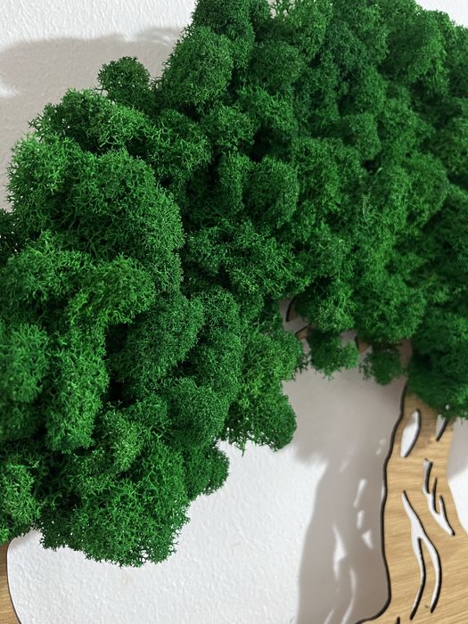 Tablou licheni copacul vietii!