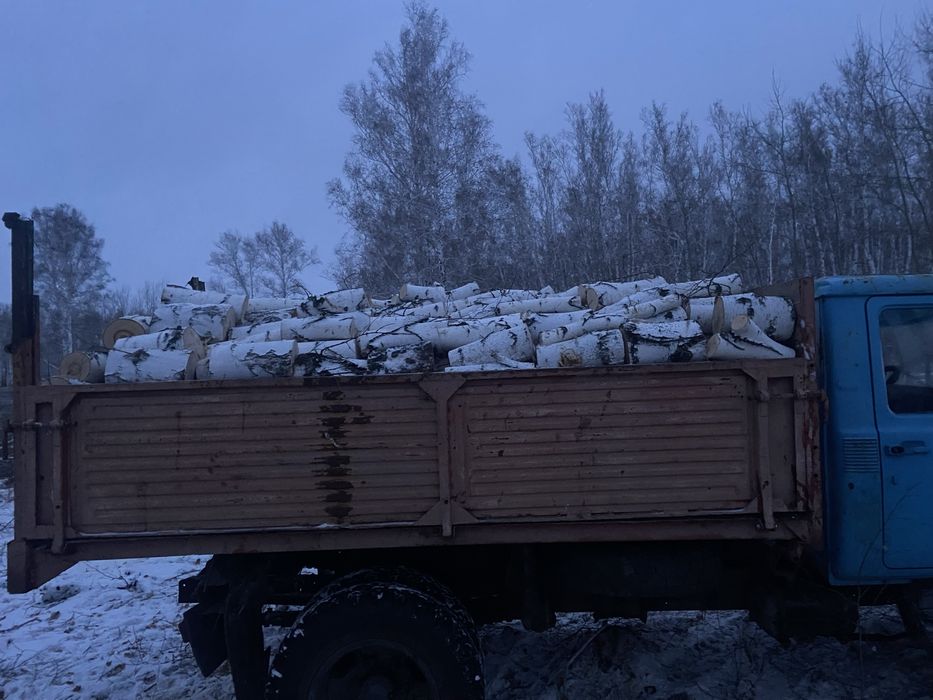 Продам дрова березы и сосны