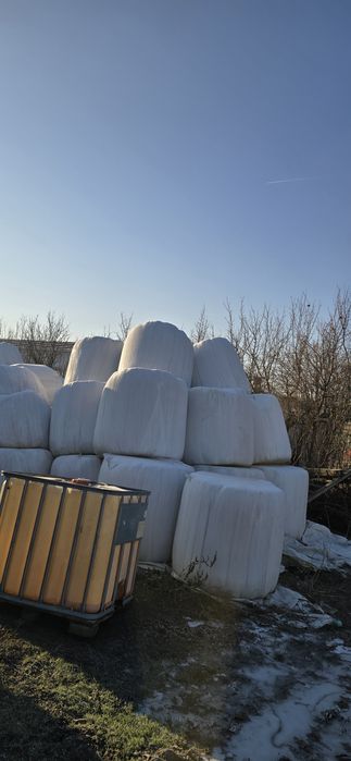 Baloti rotunzi lucerna