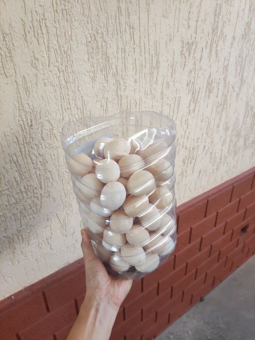 Дамашний тухум Damashniy tuxum