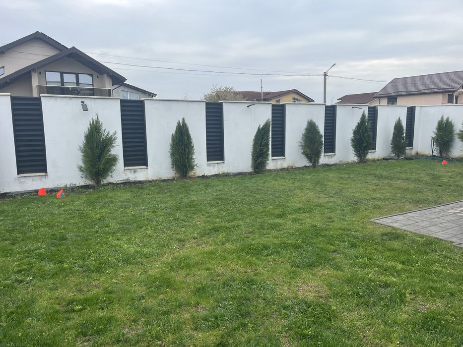 Vand Tuia 180 cm 22 bucati 60 lei/buc