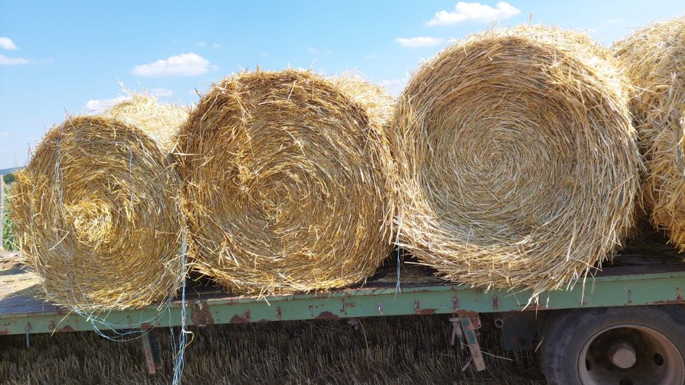 Vând Balot de Paie Orz Garu si ovaz calitate 1 2025